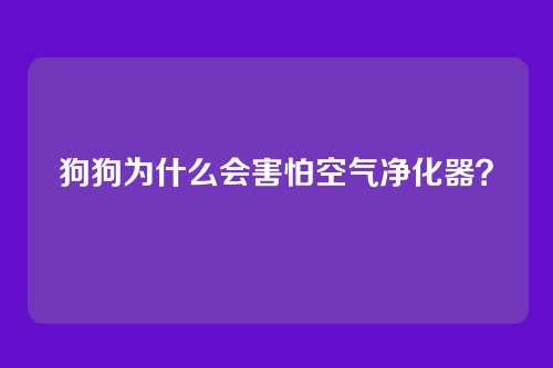 狗狗为什么会害怕空气净化器?