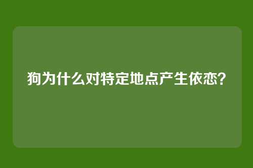 狗为什么对特定地点产生依恋?