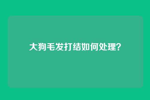 大狗毛发打结如何处理？