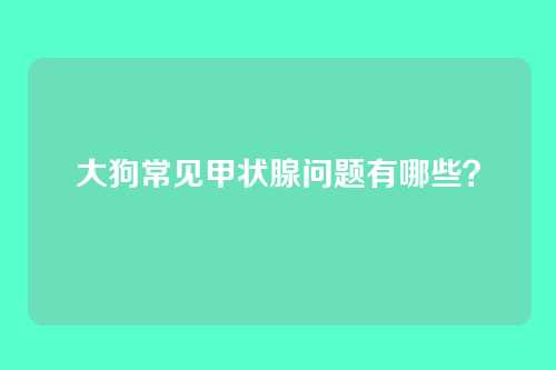 大狗常见甲状腺问题有哪些？