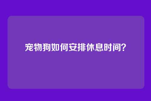 宠物狗如何安排休息时间？