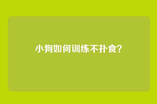 小狗如何训练不扑食？