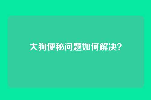 大狗便秘问题如何解决？