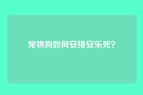 宠物狗如何安排安乐死？