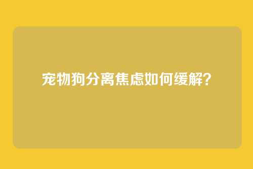 宠物狗分离焦虑如何缓解？