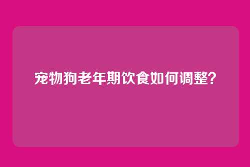 宠物狗老年期饮食如何调整？