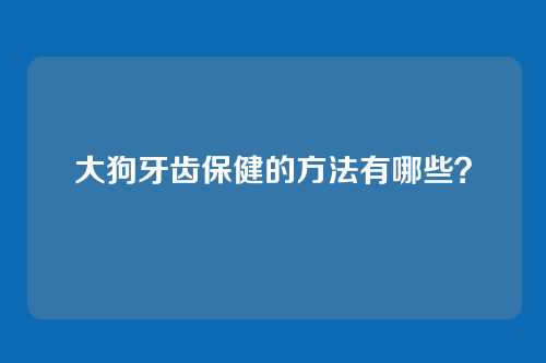 大狗牙齿保健的方法有哪些？