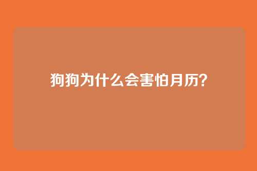 狗狗为什么会害怕月历？