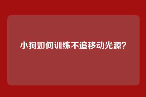 小狗如何训练不追移动光源？