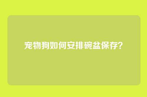 宠物狗如何安排碗盆保存？