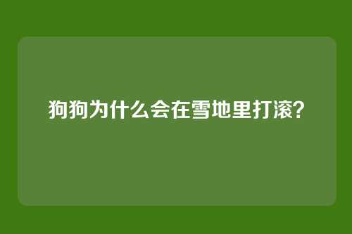 狗狗为什么会在雪地里打滚?