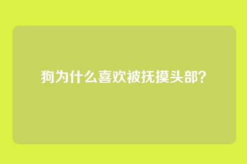 狗为什么喜欢被抚摸头部？
