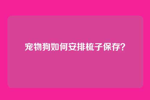 宠物狗如何安排梳子保存？