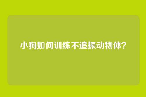 小狗如何训练不追振动物体？