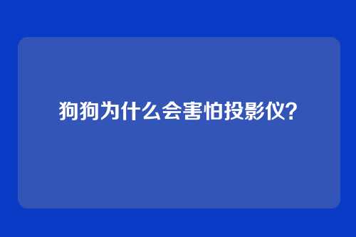 狗狗为什么会害怕投影仪？