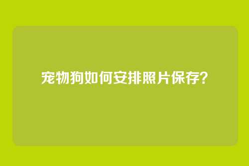 宠物狗如何安排照片保存？