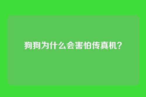 狗狗为什么会害怕传真机?