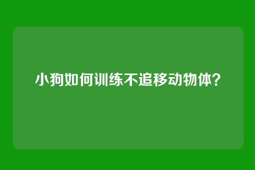 小狗如何训练不追移动物体？