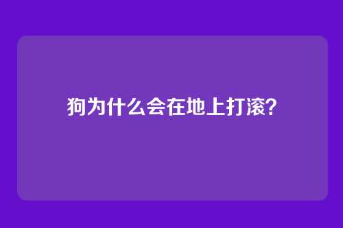 狗为什么会在地上打滚？