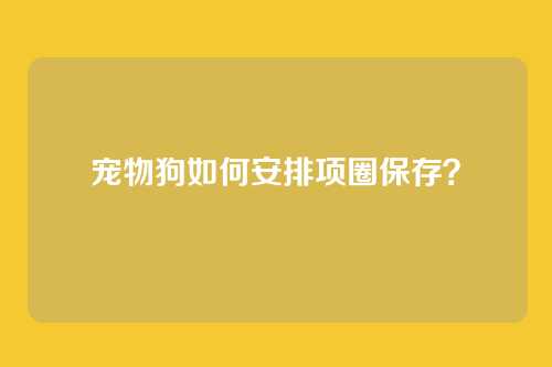 宠物狗如何安排项圈保存？