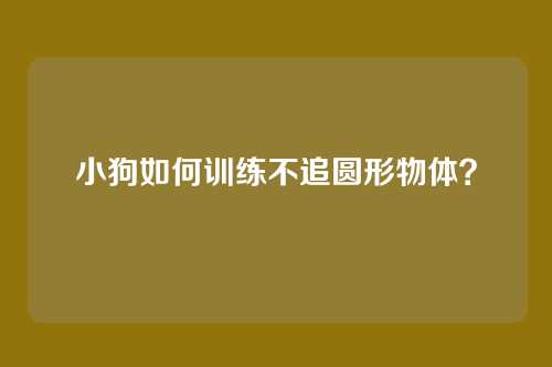 小狗如何训练不追圆形物体？