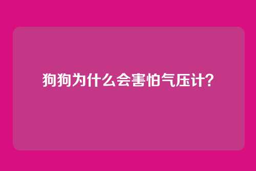 狗狗为什么会害怕气压计？