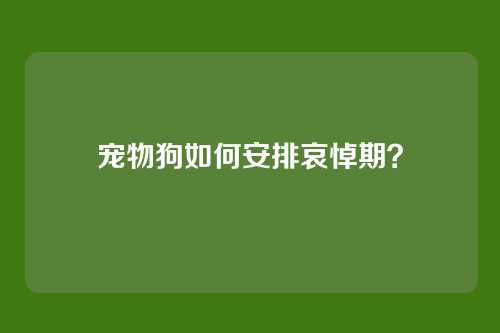 宠物狗如何安排哀悼期？