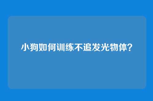 小狗如何训练不追发光物体？