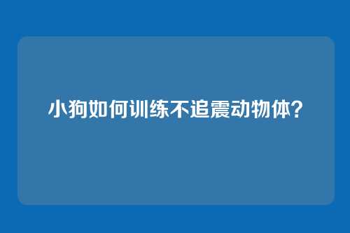 小狗如何训练不追震动物体？