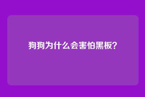 狗狗为什么会害怕黑板？