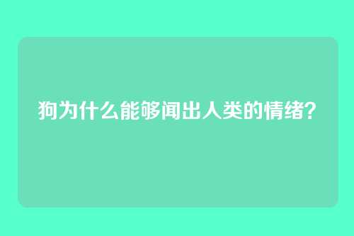 狗为什么能够闻出人类的情绪？