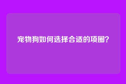 宠物狗如何选择合适的项圈?