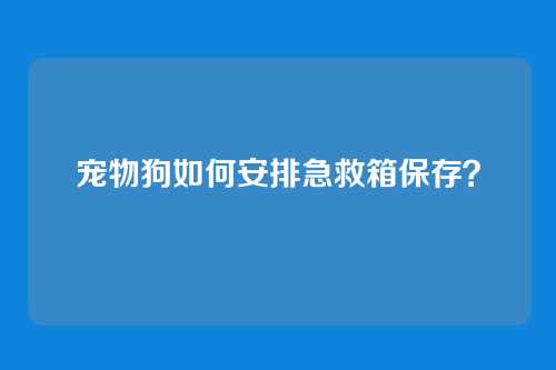 宠物狗如何安排急救箱保存？
