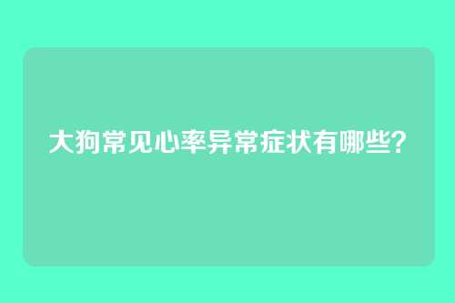 大狗常见心率异常症状有哪些？