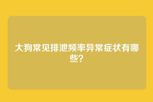 大狗常见排泄频率异常症状有哪些？