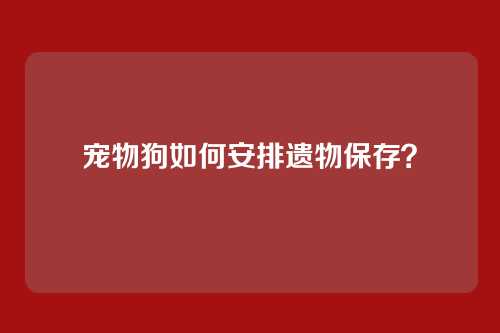 宠物狗如何安排遗物保存？