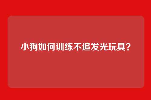 小狗如何训练不追发光玩具？