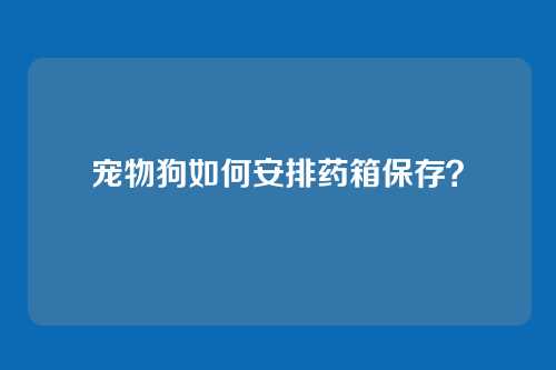 宠物狗如何安排药箱保存？