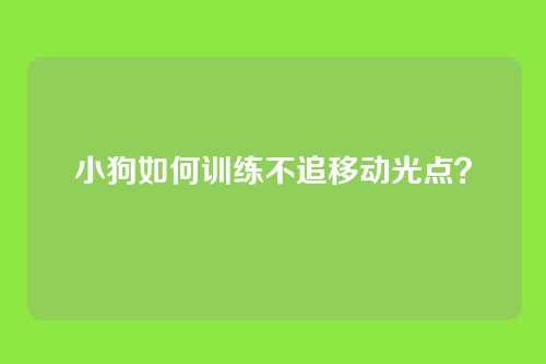 小狗如何训练不追移动光点？
