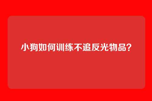 小狗如何训练不追反光物品？
