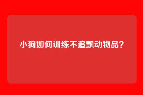 小狗如何训练不追飘动物品？