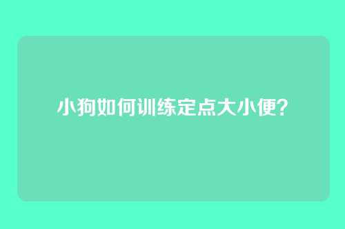 小狗如何训练定点大小便？