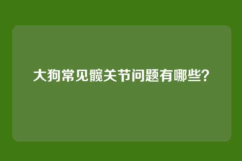 大狗常见髋关节问题有哪些？