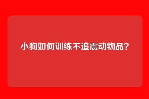 小狗如何训练不追震动物品？