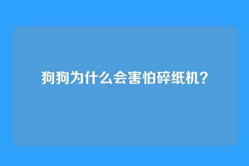 狗狗为什么会害怕碎纸机？
