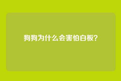 狗狗为什么会害怕白板？