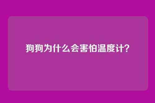 狗狗为什么会害怕温度计？