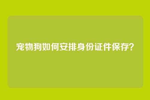 宠物狗如何安排身份证件保存?
