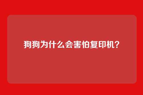 狗狗为什么会害怕复印机？