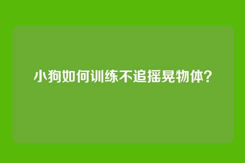 小狗如何训练不追摇晃物体？